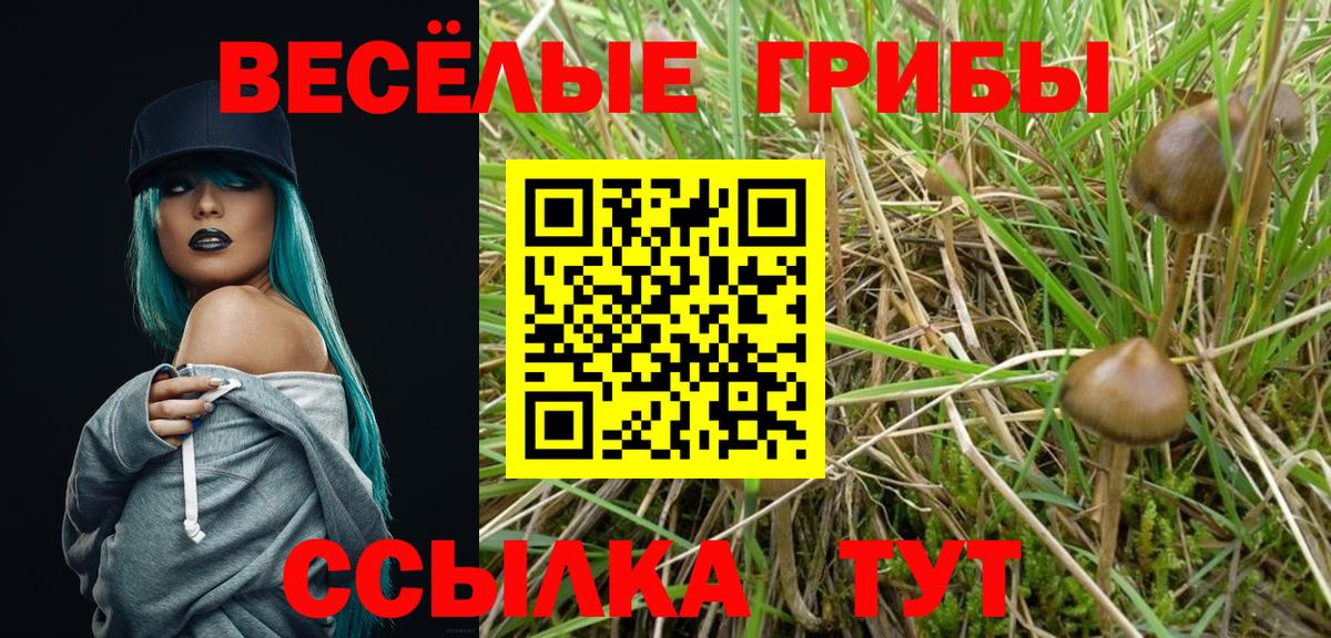 Галлюциногенные грибы GOLDEN TEACHER  Вход с VPN  Ленинск-Кузнецкий 